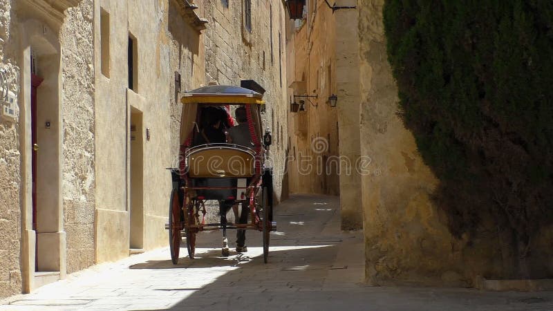 Chariot de cheval sur la rue étroite, vue arrière banque de vidéos