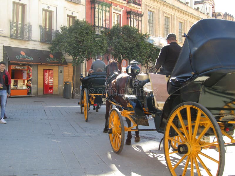 Chariots de cheval à Séville, Espagne image stock Chariots de cheval à Séville, Espagne image stock