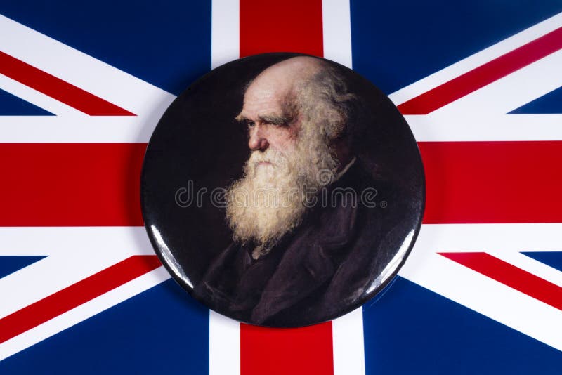 London, UK - December 3rd 2019: A pin badge with a portrait of Charles Darwin - the famous British naturalist, geologist and biologist, pictured over the flag of the United Kingdom