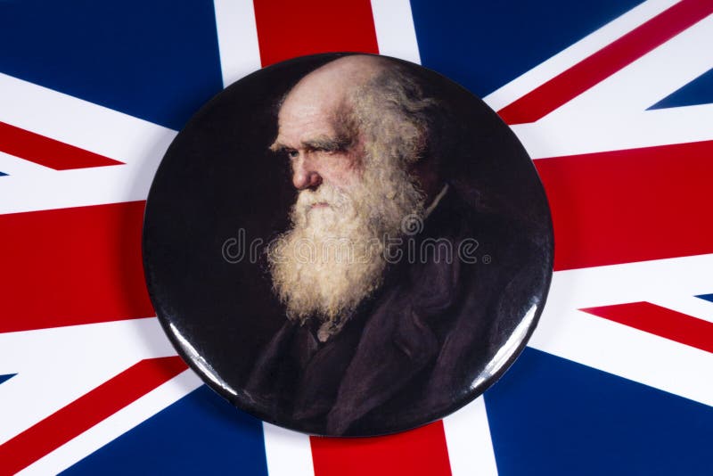 London, UK - December 3rd 2019: A pin badge with a portrait of Charles Darwin - the famous British naturalist, geologist and biologist, pictured over the flag of the United Kingdom