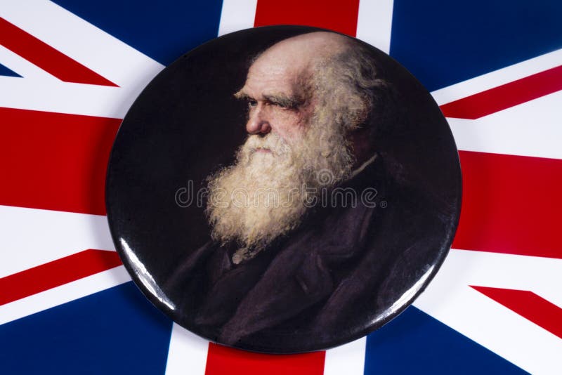 London, UK - December 3rd 2019: A pin badge with a portrait of Charles Darwin - the famous British naturalist, geologist and biologist, pictured over the flag of the United Kingdom