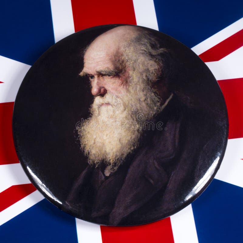 London, UK - December 3rd 2019: A pin badge with a portrait of Charles Darwin - the famous British naturalist, geologist and biologist, pictured over the flag of the United Kingdom