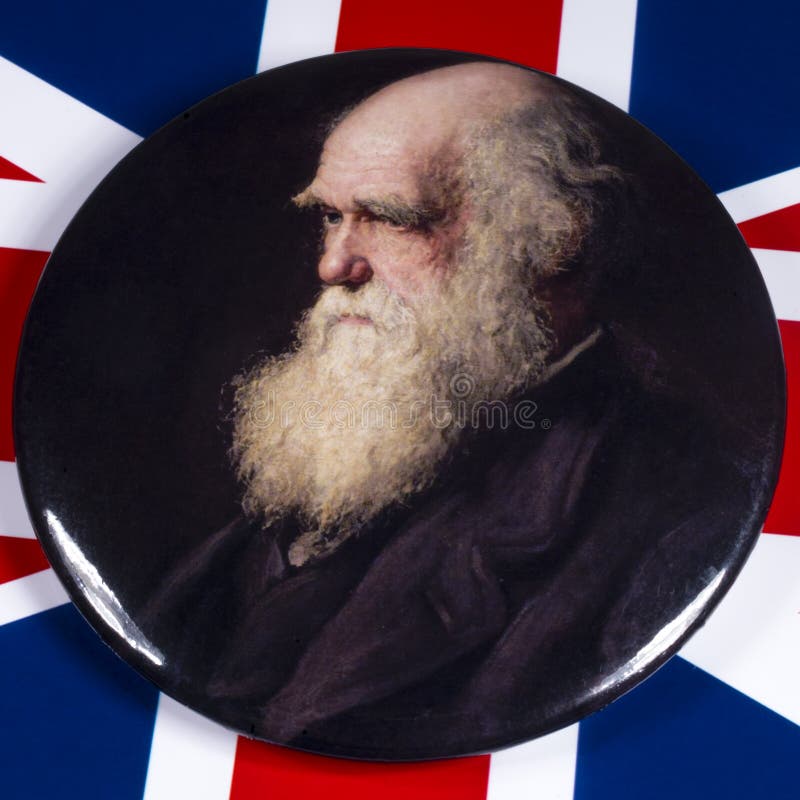 London, UK - December 3rd 2019: A pin badge with a portrait of Charles Darwin - the famous British naturalist, geologist and biologist, pictured over the flag of the United Kingdom