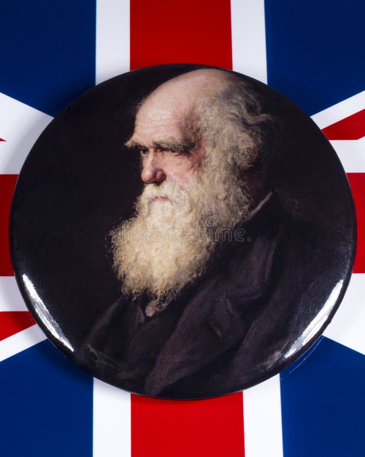 London, UK - December 3rd 2019: A pin badge with a portrait of Charles Darwin - the famous British naturalist, geologist and biologist, pictured over the flag of the United Kingdom