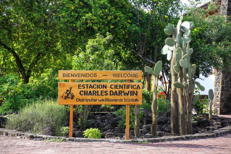 Charles Darwin Research Station en Santa Cruz Island en Galapago fotos de archivo libres de regalías Charles Darwin Research Station en Santa Cruz Island en Galapago fotos de archivo libres de regalías