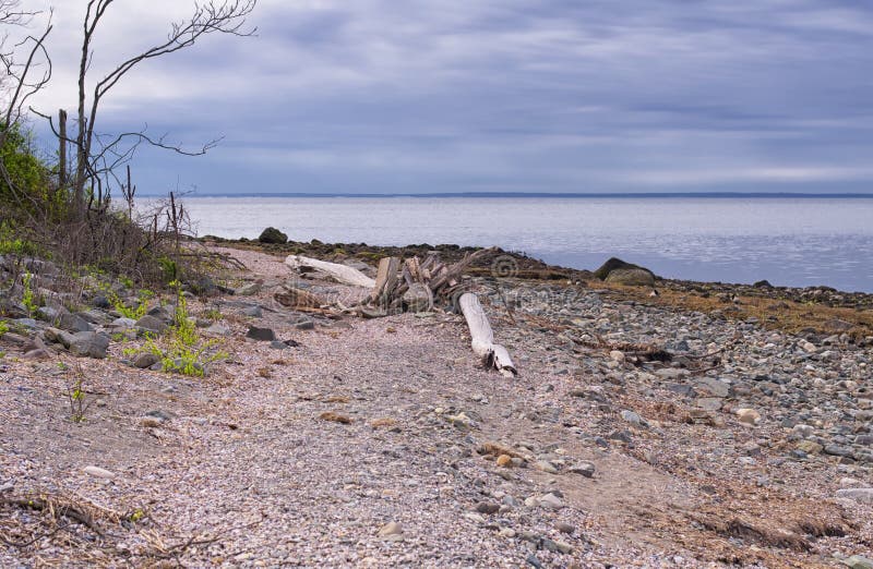 Charles Island Milford Connecticut stockfoto Charles Island Milford Connecticut stockfoto