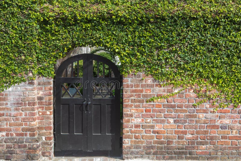 Charleston South Carolina Courtyard Entrance arkivbild Charleston South Carolina Courtyard Entrance arkivbild