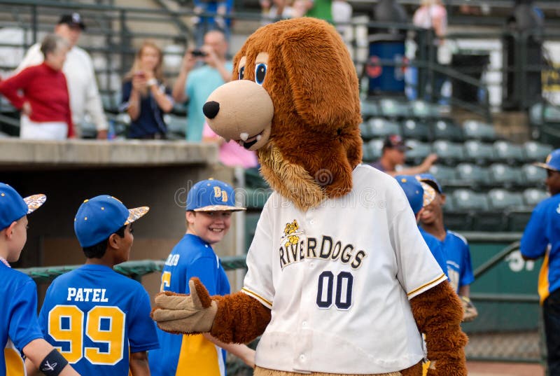 Charlie T RiverDog image stock éditorial. Image du pichet 53408544