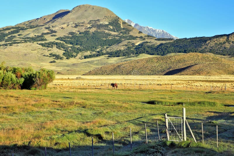 Charming green valley in Perrito Moreno's stock photo Charming green valley in Perrito Moreno's stock photo