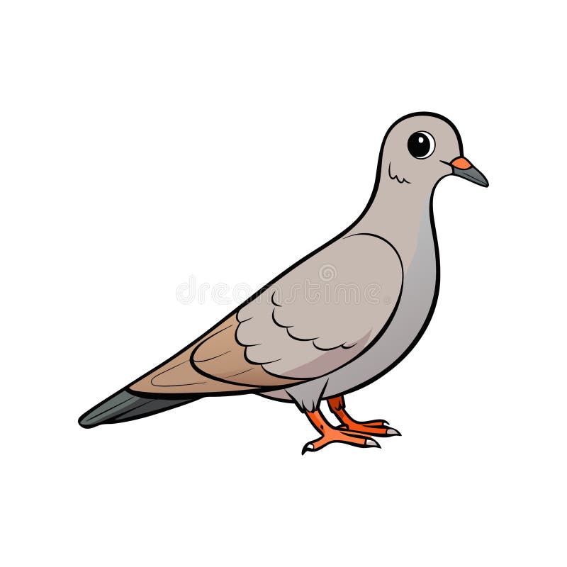 Charming Mourning Artistica Di Dove Bird illustrazione vettoriale