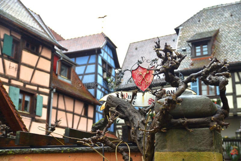Historic town of Eguisheim, Alsace