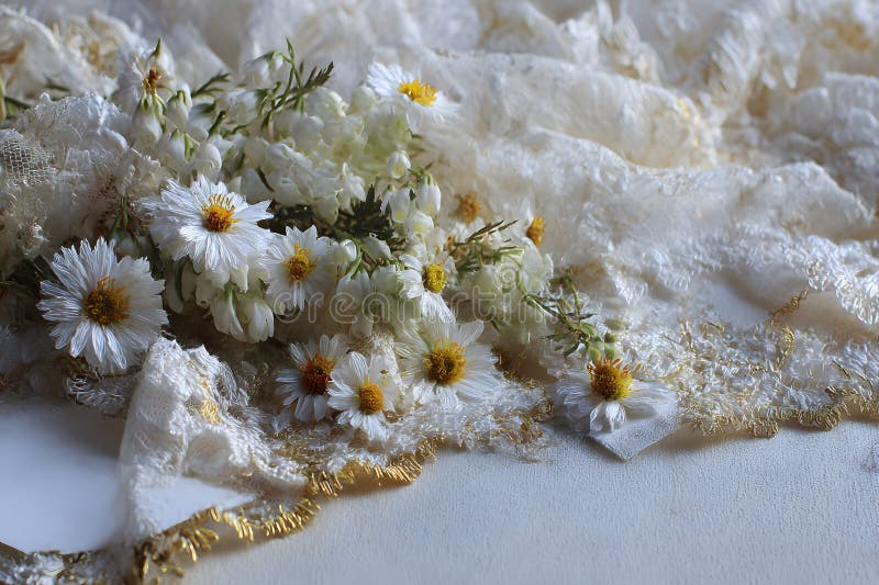 Charming White Daisis på vit luxurious lace vektor illustrationer