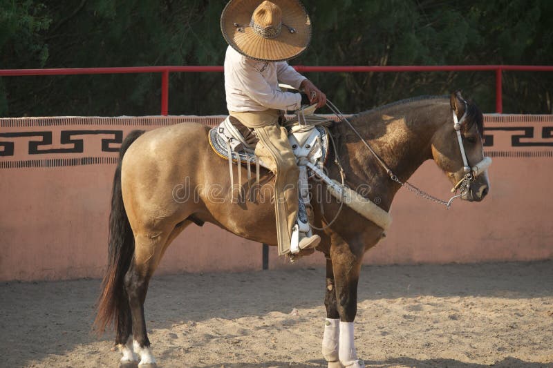 Charros Mexický jezdec nebo kovboj nosí slaměné sombrero nebo klobouk v aréně se v blízkosti San Antonio, Texas, USA.