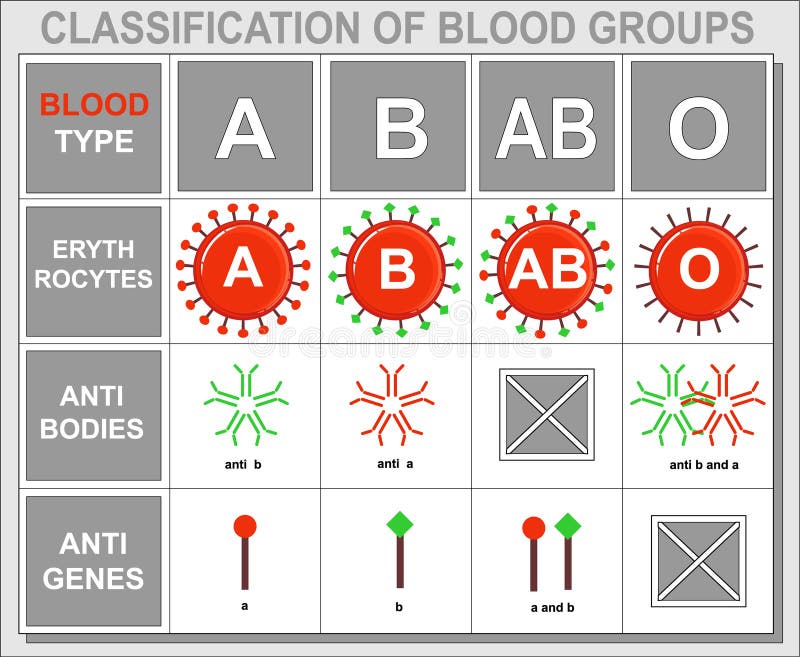 Blood Group Acceptance Chart