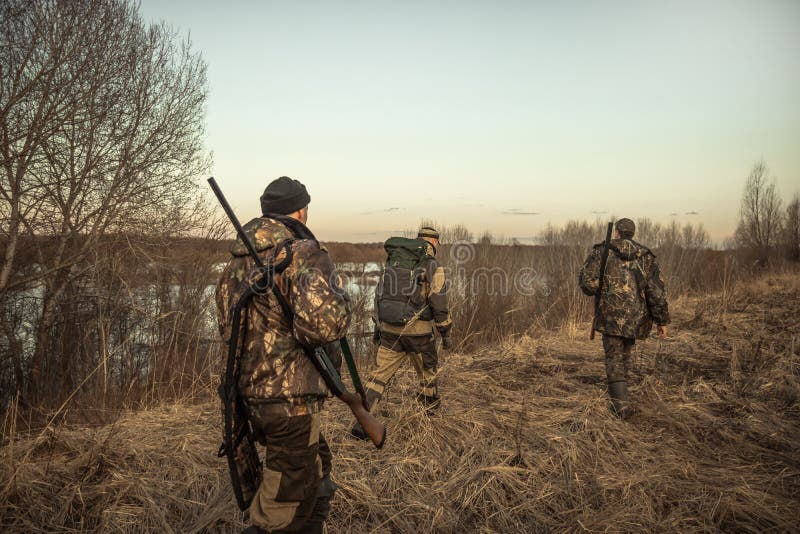 Chassant la scène avec le groupe de chasseurs avec chasser des munitions s'attaquant par le champ rural pendant la saison de chas image stock Chassant la scène avec le groupe de chasseurs avec chasser des munitions s'attaquant par le champ rural pendant la saison de chas image stock