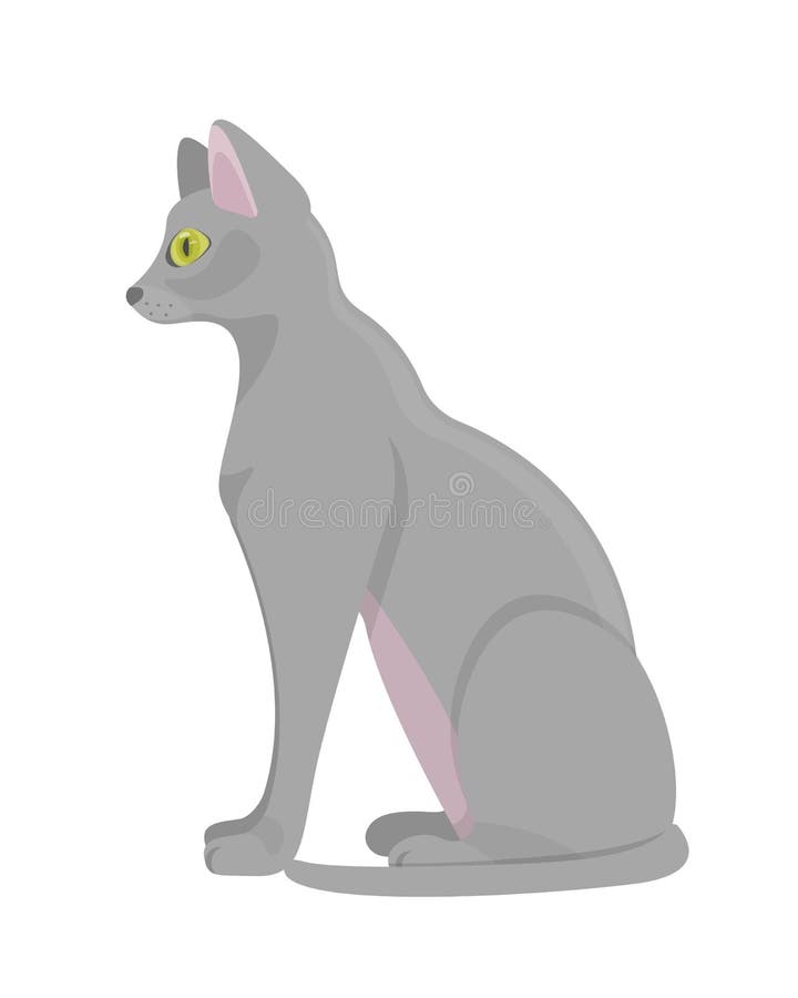 Chat animal égyptien antique sacré Chat animal pelucheux domestique illustration de vecteur Chat animal égyptien antique sacré Chat animal pelucheux domestique illustration de vecteur