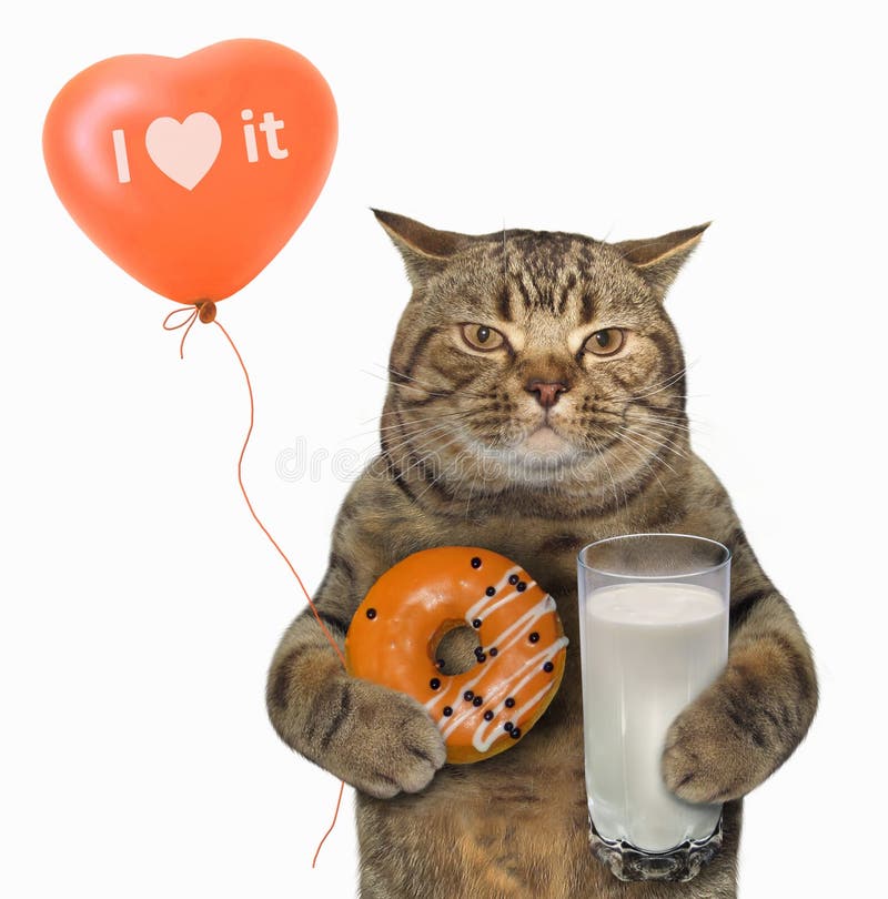 Chat Avec Le Beignet Et Le Lait Oranges Image Stock Image Du Boisson Baking Chat Avec Le Beignet Et Le Lait Oranges Image Stock Image Du Boisson Baking
