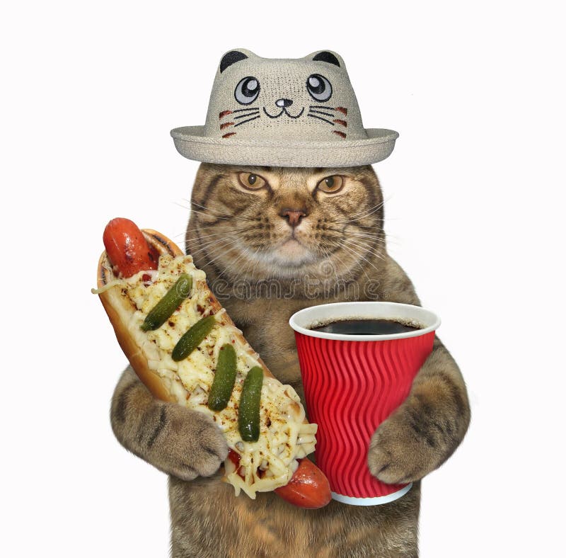 Chat Dans Un Chapeau Drole Avec Un Hot Dog Image Stock Image Du Chat Chapeau