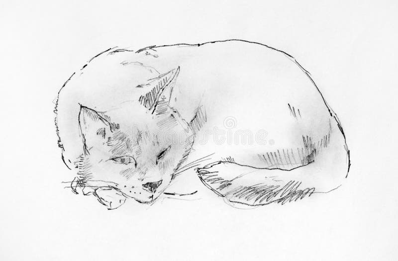 365 Dessin Au Crayon De Chat Photos Libres De Droits Et Gratuites De Dreamstime 365 Dessin Au Crayon De Chat Photos Libres De Droits Et Gratuites De Dreamstime