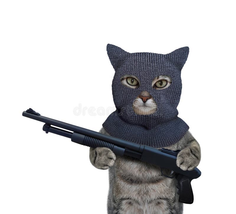 680 Chat Arme Photos Libres De Droits Et Gratuites De Dreamstime