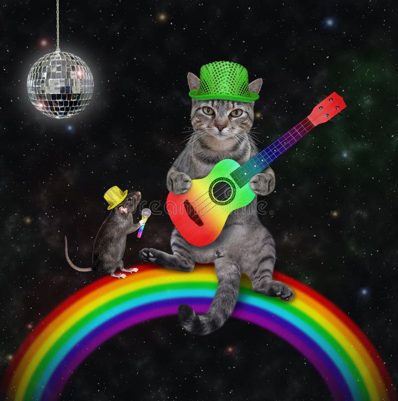 Chat Gris Jouant De La Guitare Acoustique Sur Arc-en-ciel Photo stock -  Image du bille, concert: 227817912