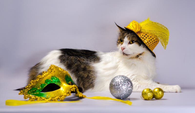 Masque de Chat Noir à paillettes