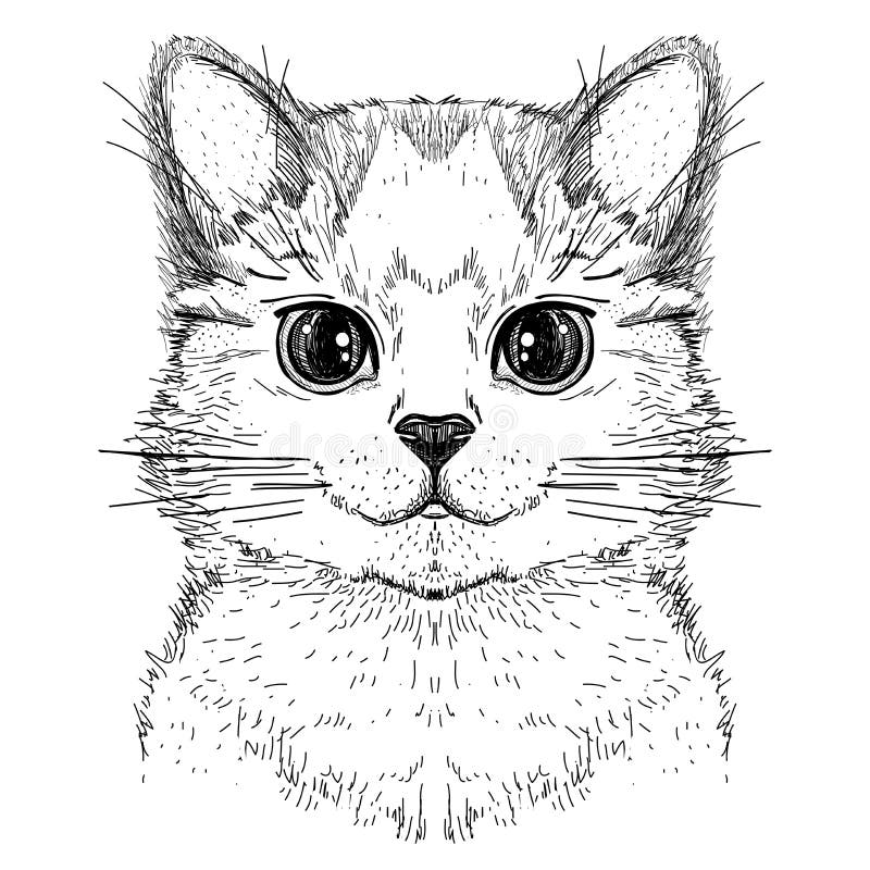 Chat mignon de minou, illustration graphique tirée par la main de croquis d'un visage de chat
