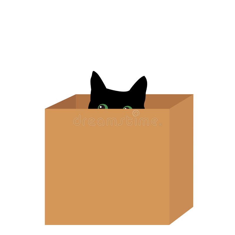 Chat noir dans une boîte