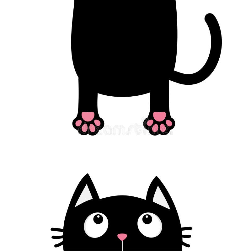 Chat Noir Recherchant Silhouette Drole De Tete De Visage Grosse Copie Accrochante De Patte De Corps Queue Animal De Kawaii Carte Illustration De Vecteur Illustration Du Amusement Tomber Chat Noir Recherchant Silhouette Drole De Tete De Visage Grosse Copie Accrochante De Patte De Corps Queue Animal De Kawaii Carte Illustration De Vecteur Illustration Du Amusement Tomber