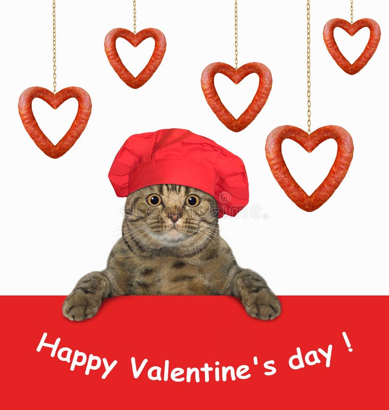 Cuisinier De Chat Avec Une Grande Saucisse Illustration Stock Illustration Du Anniversaire Amour