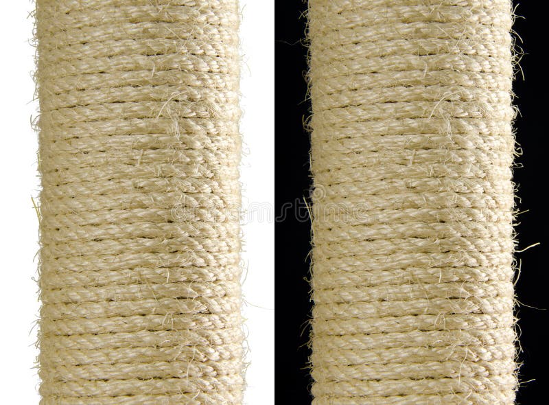 Courrier scatching de chat sur le blanc et le noir image stock Courrier scatching de chat sur le blanc et le noir image stock