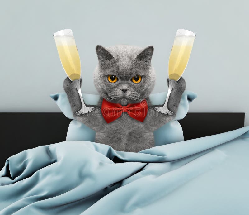 Chat Ivre Stock Illustrations Vecteurs Clipart 124 Stock Illustrations