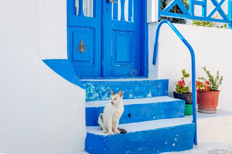 Chat se reposant sur les escaliers bleus dans Thirasia, Grèce photo stock Chat se reposant sur les escaliers bleus dans Thirasia, Grèce photo stock
