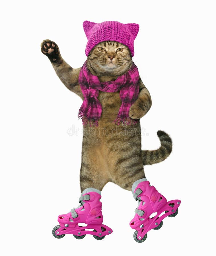 Chat sur des patins de rouleau illustration libre de droits Chat sur des patins de rouleau illustration libre de droits