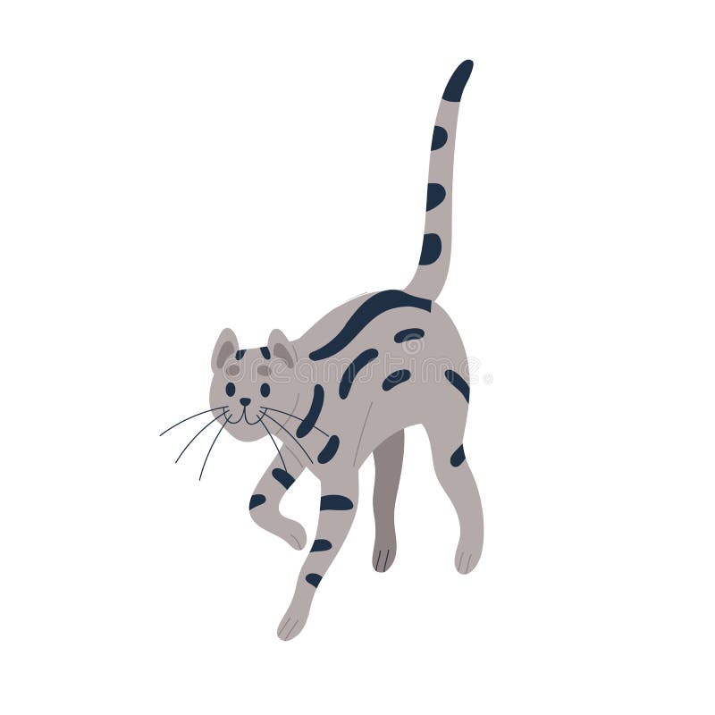 Patte Feline Mignonne Avec Coussinet En Forme De Coeur Mou Chats Gingembre Leve La Main En Gestant Adorable Delicat Pied De Four Illustration De Vecteur Illustration Du Charmer Plat Patte Feline Mignonne Avec Coussinet En Forme De Coeur Mou Chats Gingembre Leve La Main En Gestant Adorable Delicat Pied De Four Illustration De Vecteur Illustration Du Charmer Plat