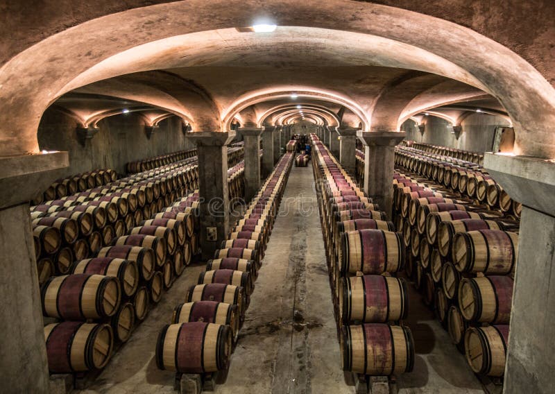 Chateau margaux winery cellar,Bordeaux, France