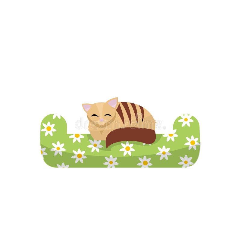 Chaton mignon dormant sur l'oreiller vert avec le modèle de marguerites Illustration de vecteur de bande dessinée de Flan Animal illustration libre de droits Chaton mignon dormant sur l'oreiller vert avec le modèle de marguerites Illustration de vecteur de bande dessinée de Flan Animal illustration libre de droits