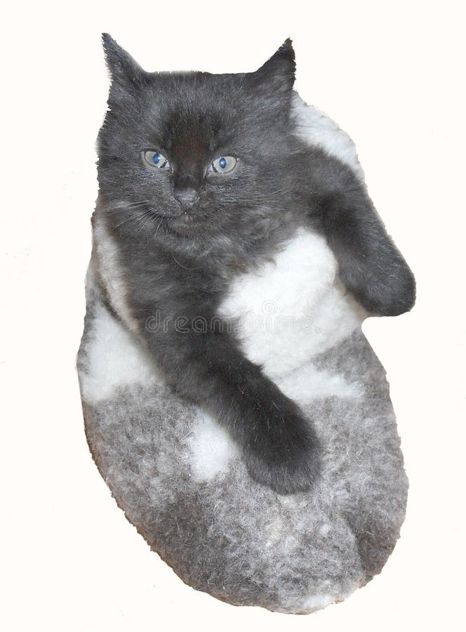 Chaton noir mignon minuscule dans la botte de feutre photo stock Chaton noir mignon minuscule dans la botte de feutre photo stock