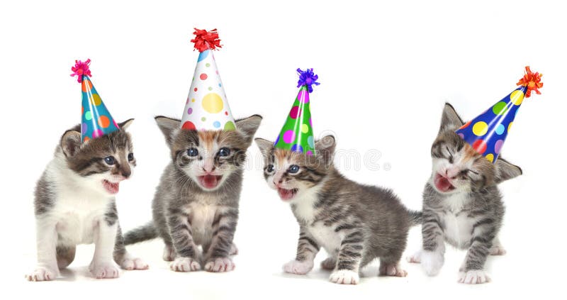 Singing Kittens on a White Background With Birthday Hats. Singing Kittens on a White Background With Birthday Hats