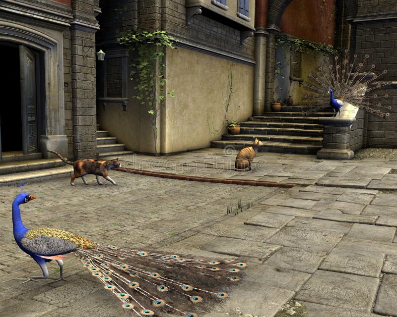 Chats et paons sur une rue méditerranéenne illustration stock Chats et paons sur une rue méditerranéenne illustration stock