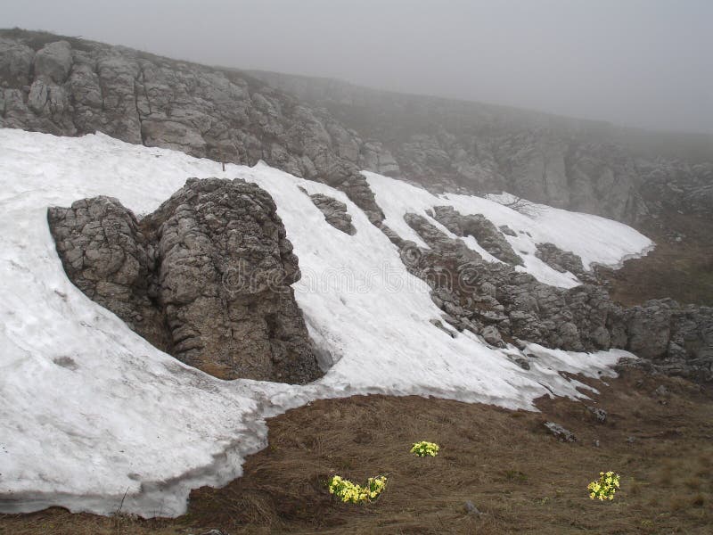 Chatyr-Dag ridge ,Krimea, Ukraine