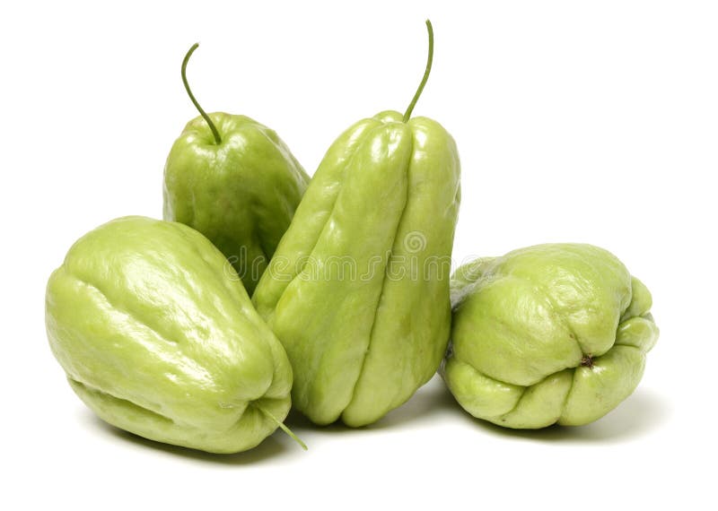 Chayote is a member of the squash stock images Chayote is a member of the squash stock images