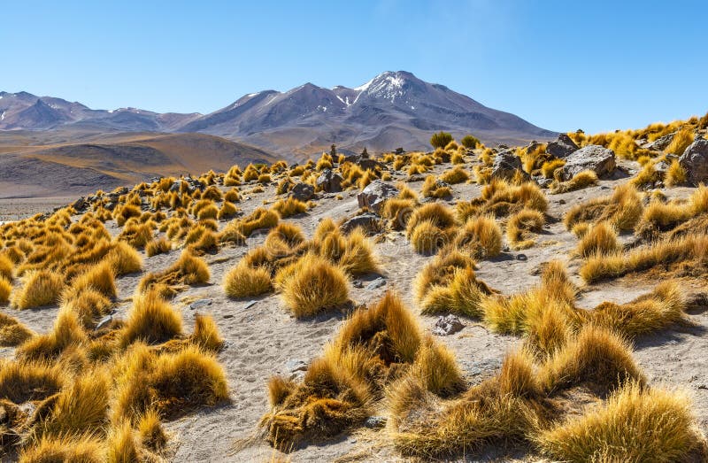 Chaîne de montagne des Andes en Bolivie, Amérique du Sud photos stock Chaîne de montagne des Andes en Bolivie, Amérique du Sud photos stock