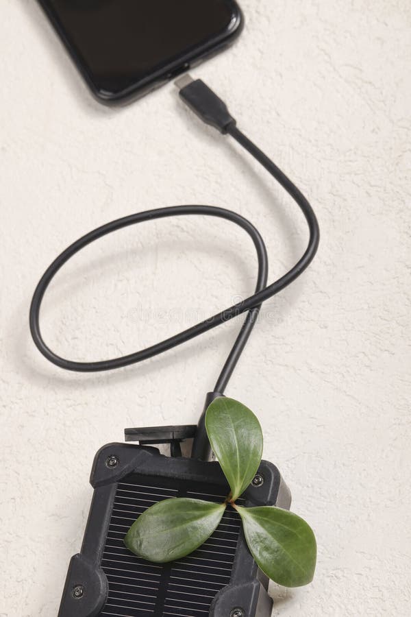 Cheapest Plant Stock Photos Free & RoyaltyFree Stock Photos from