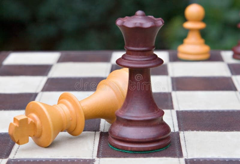 mal nolan check mate in 2024 Fan book Book characters Romantic books