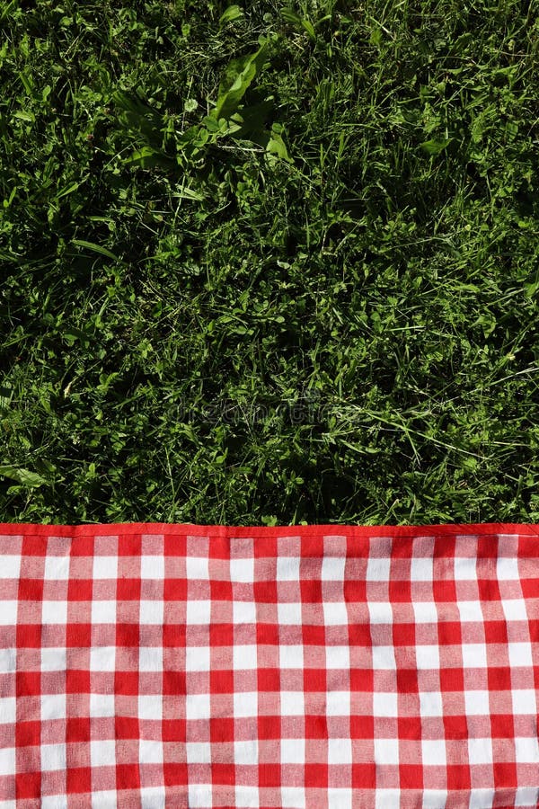 Checkered Picnic Tablecloth on Fresh Green Grass, Top View. Space for