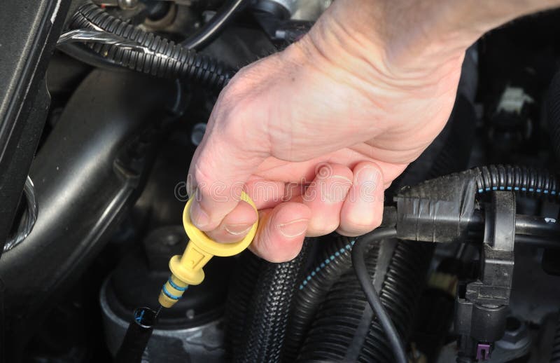 Checking the Oil Level of an Automobile Engine Stock Image Image of