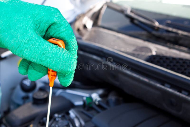 Checking Oil Level by Dipstick Stock Photo Image of dipstick, service 38894640