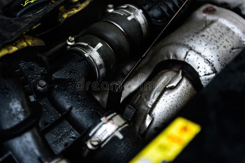 Checking Oil Level in a Engine Stock Image Image of transport