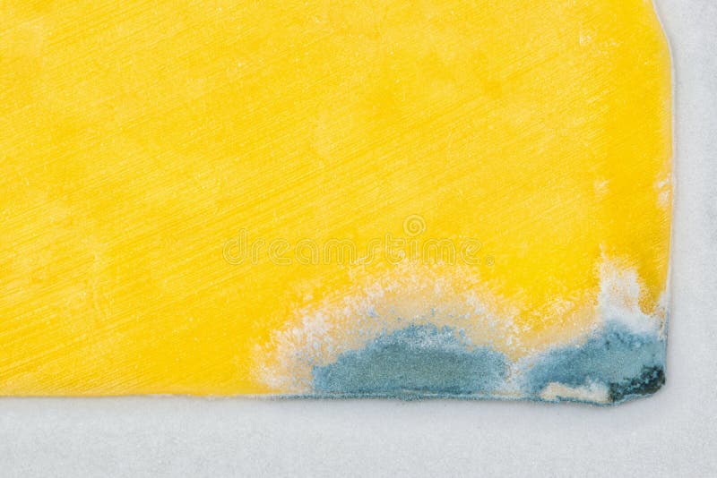 Cheddar Cheese Slice with Mold Growing on the Corner. Stock Photo